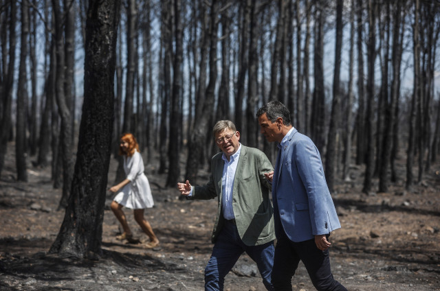 El Gobierno Declarar Como Catastr Ficas Las Zonas De Los Grandes Incendios