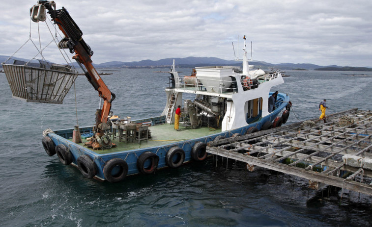 El sabor de las bateas llega a las redes con 