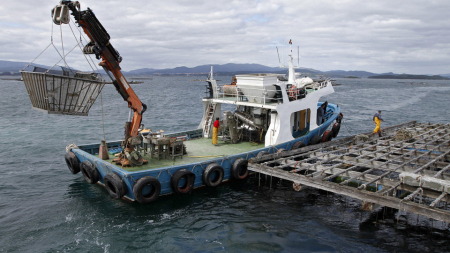 El sabor de las bateas llega a las redes con "Mexillón Challenge"