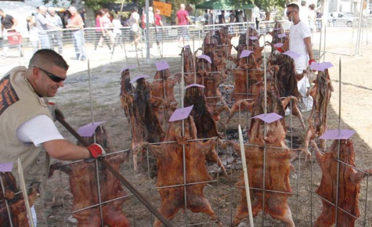 La Festa do Porquiño á Brasa de Amil vive hoy su jornada especial