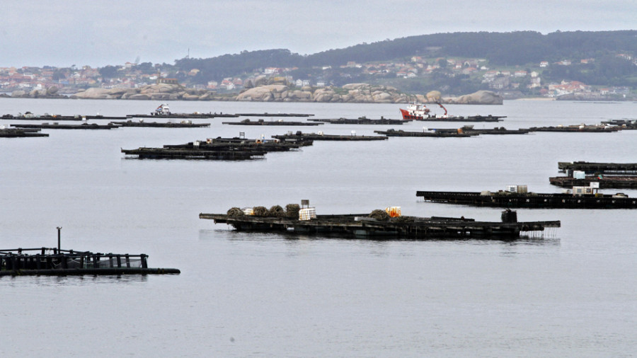 Los bateeiros convocan un paro del que se desmarcan Opmega, Amegrove y Socomgal