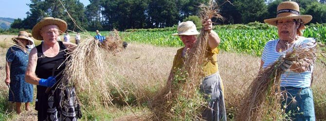 Cando traballar é unha festa