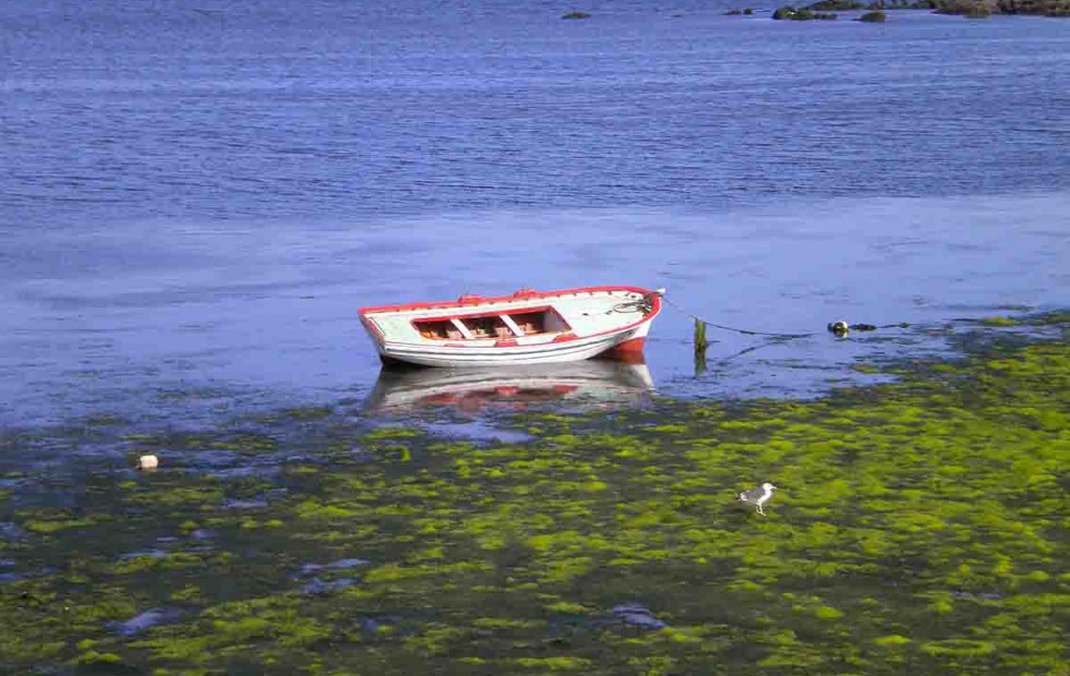 ¿Qué lugares merece la pena ver en Arousa y sus alrededores?