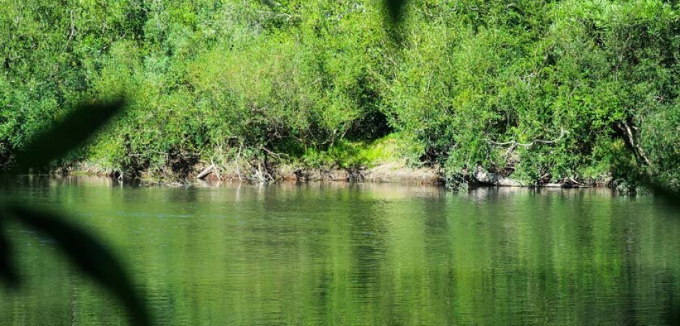 La clonación de plantas, un contraataque a su extinción