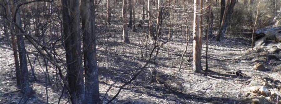 RIVEIRA-Vuelven a prenderle fuego a un monte de Oleiros en donde ya ardieron seis hectáreas