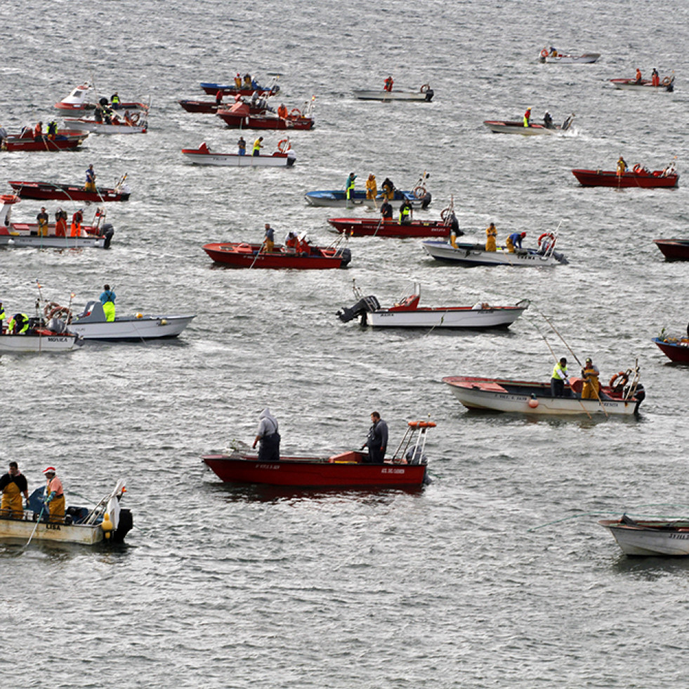 La media de embarcaciones que acude al libre marisqueo es de 104 en O Bohído y 18 en Cabío