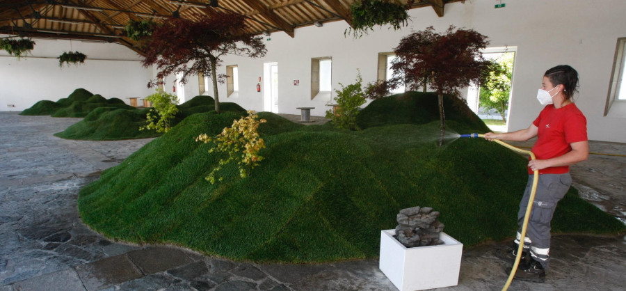 Un jardín japonés, olivos y claveles decoran Vilagarcía “Espavila!”