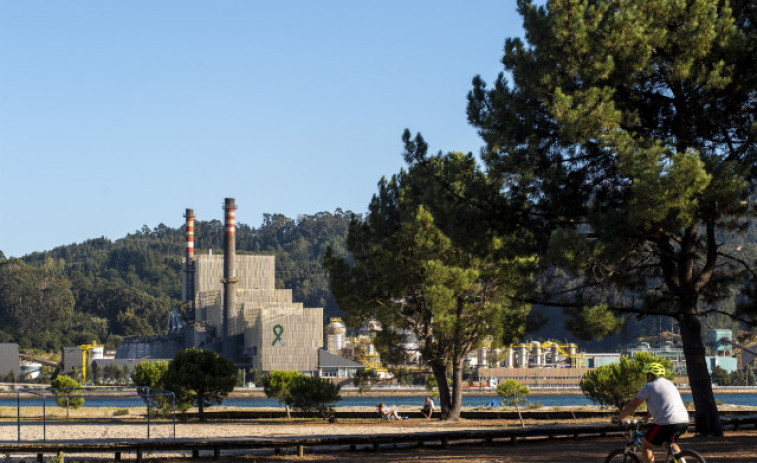 La Audiencia Nacional anula la prórroga de Ence en Pontevedra hasta 2073