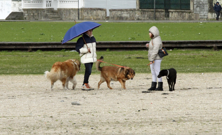 El gobierno de Sanxenxo rechaza crear una playa canina ante las peticiones de la oposición