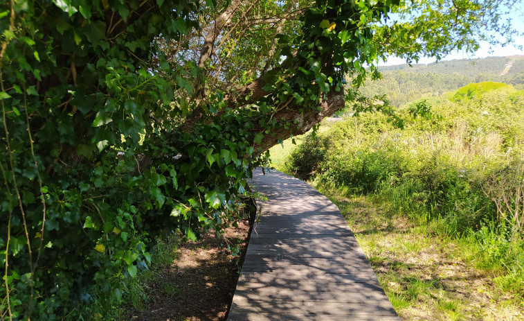 Denuncian zonas inaccesibles y deficiente conservación del paseo del río Arlés, en Ribeira