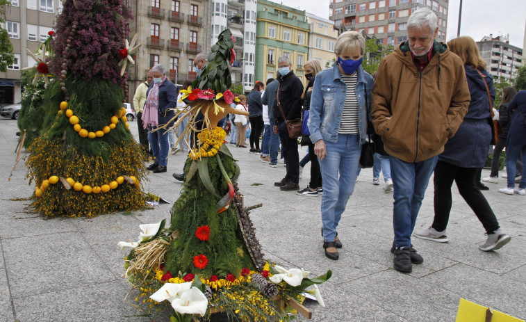 O Salnés mantén viva a tradición coa multitudinaria celebración do “maio maiolo”