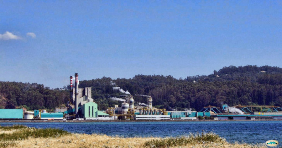 Ence para temporalmente su actividad en Pontevedra por bajo caudal del Lérez