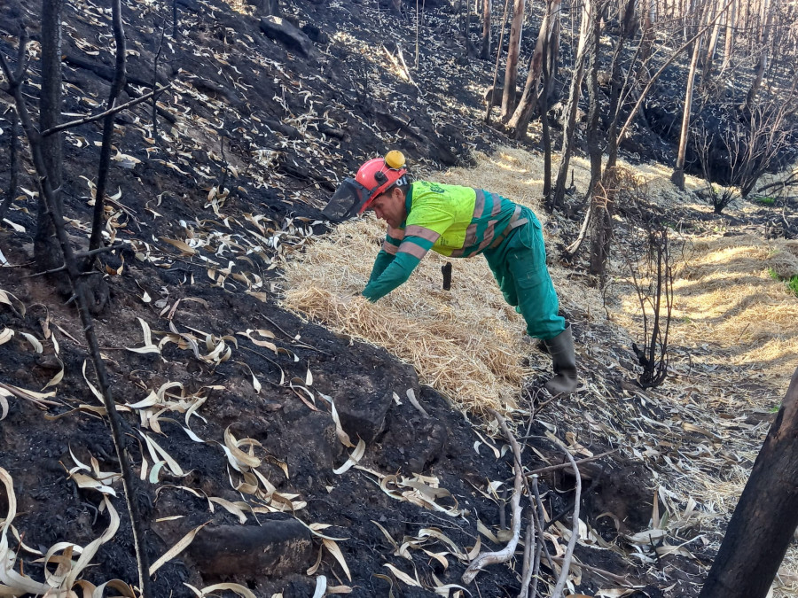 Ultiman los trabajos en zonas afectadas por el gran incendio de O Barbanza para evitar los arrastres de las cenizas