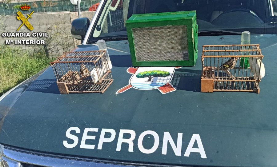 La Guardia Civil sorprende a un cazador furtivo de aves silvestres en Portonovo