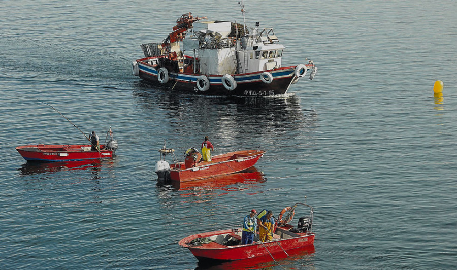 Cientos de embarcaciones vuelven hoy a las zonas de libre marisqueo tras dos campañas fallidas