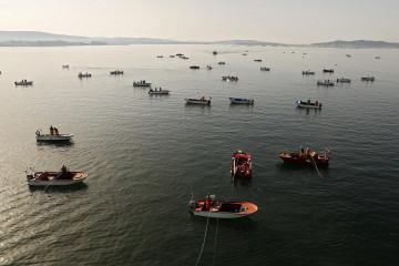 Libre marisqueo