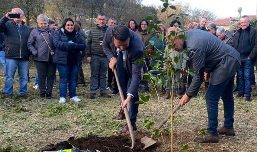 El Pazo de Goiáns inaugura la exposición de la camelia con la sasanqua como protagonista