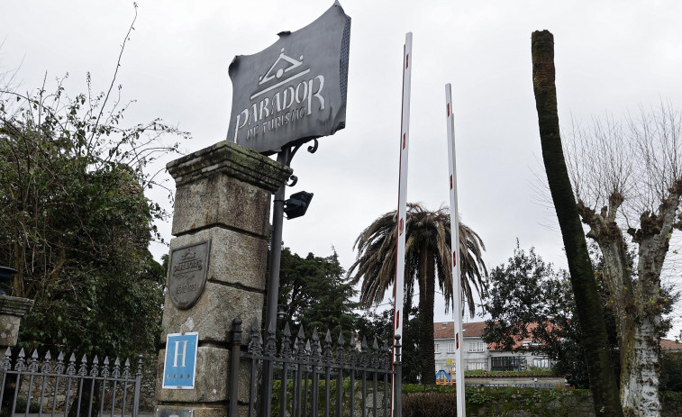 El picudo rojo también acaba con las palmeras del Parador de Cambados