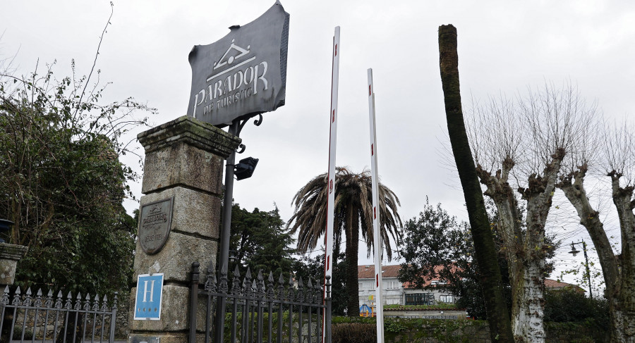 El picudo rojo también acaba con las palmeras del Parador de Cambados