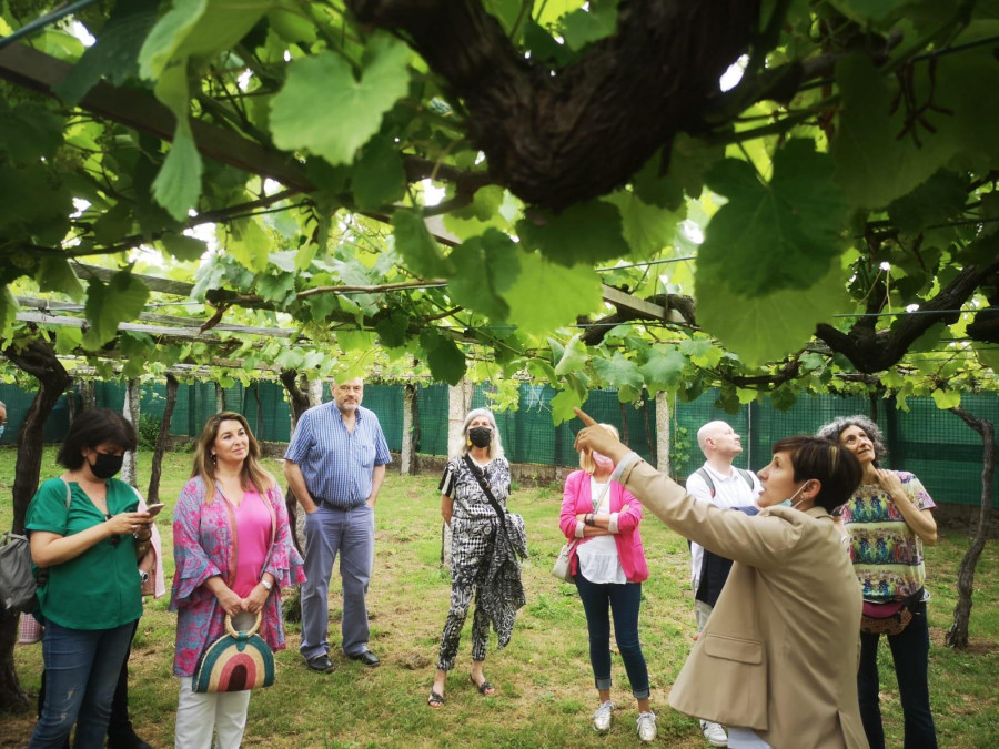 La Ruta do Viño Rías Baixas se consolida como la más deseada para los enoturistas españoles