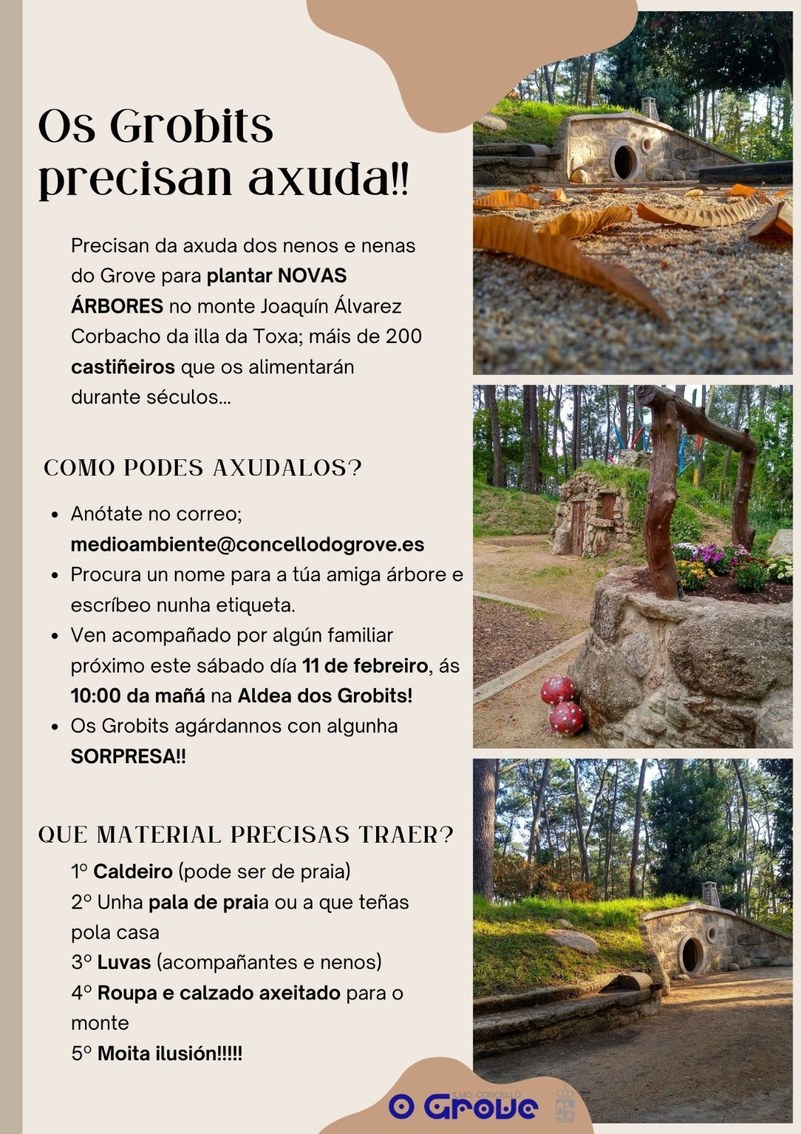 Programa actividad reforestaciu00f3n bosque Grobits