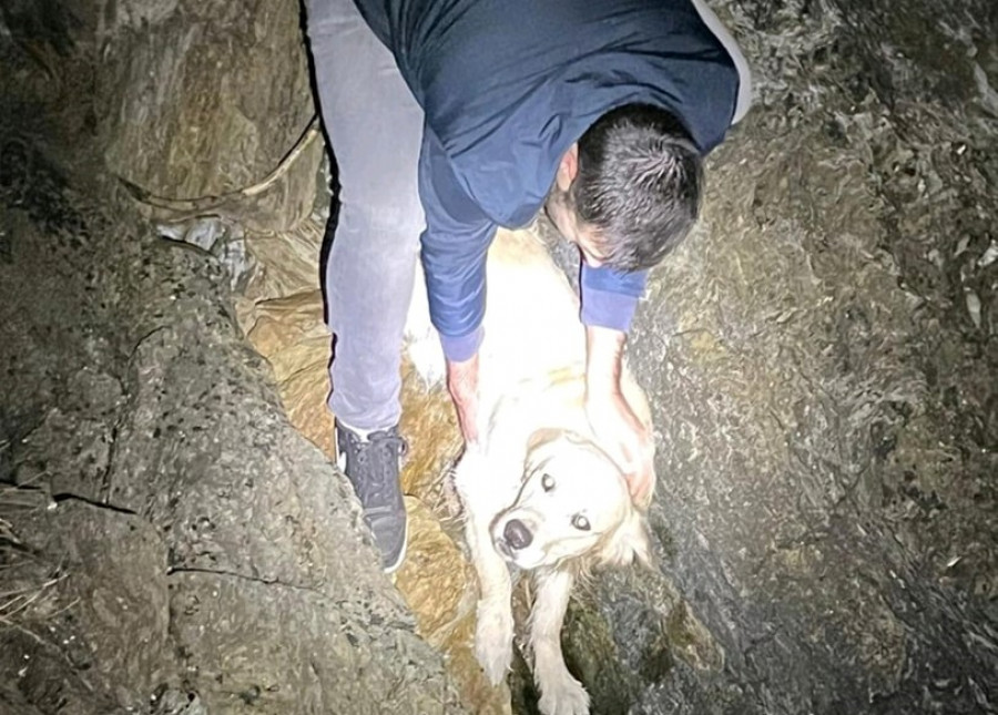 La Guardia Civil rescata a un perro que se encontraba en una grieta de Punta Vicaño, en Sanxenxo, a escasos metros del agua