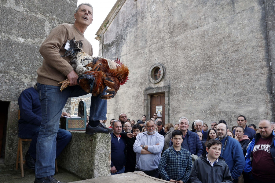 San Benito regresó con misas y “poxas” en Lores y Cambados