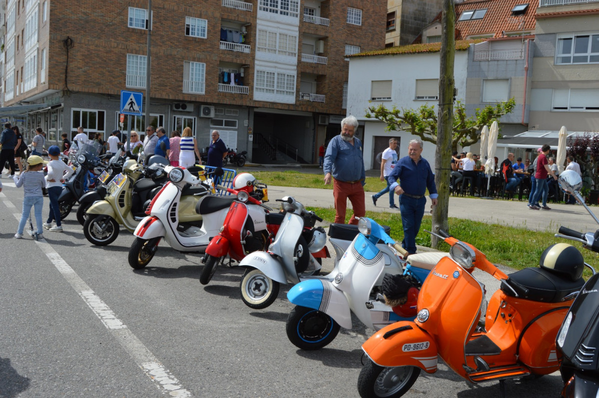 Concentracion vespa raiada portonovo