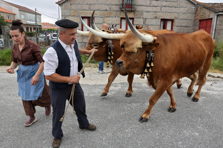 Vilariño celebró con éxito los 40 años de su Festa do Labrego