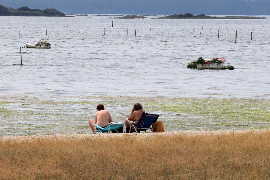 Las papeleras de A Concha- Compostela se trasladarán al Paseo Marítimo