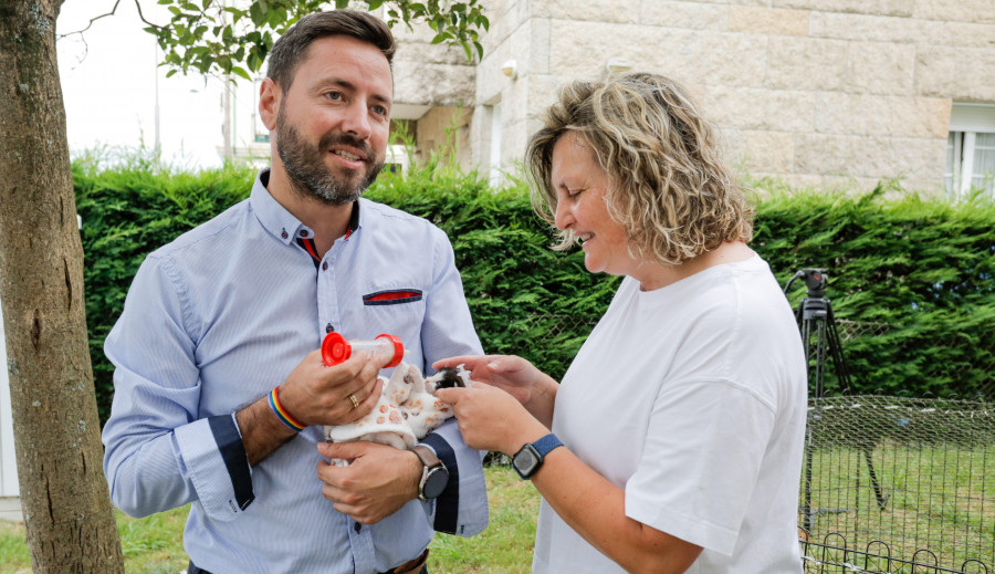 Invitan a los niños a leer un cuento a los gatos del Refugio para concienciar contra el maltrato