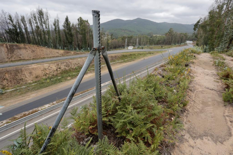 Los cazadores alertan: La falta de vallado en la circunvalación entre Vilagarcía y Caldas pone en peligro a conductores y animales