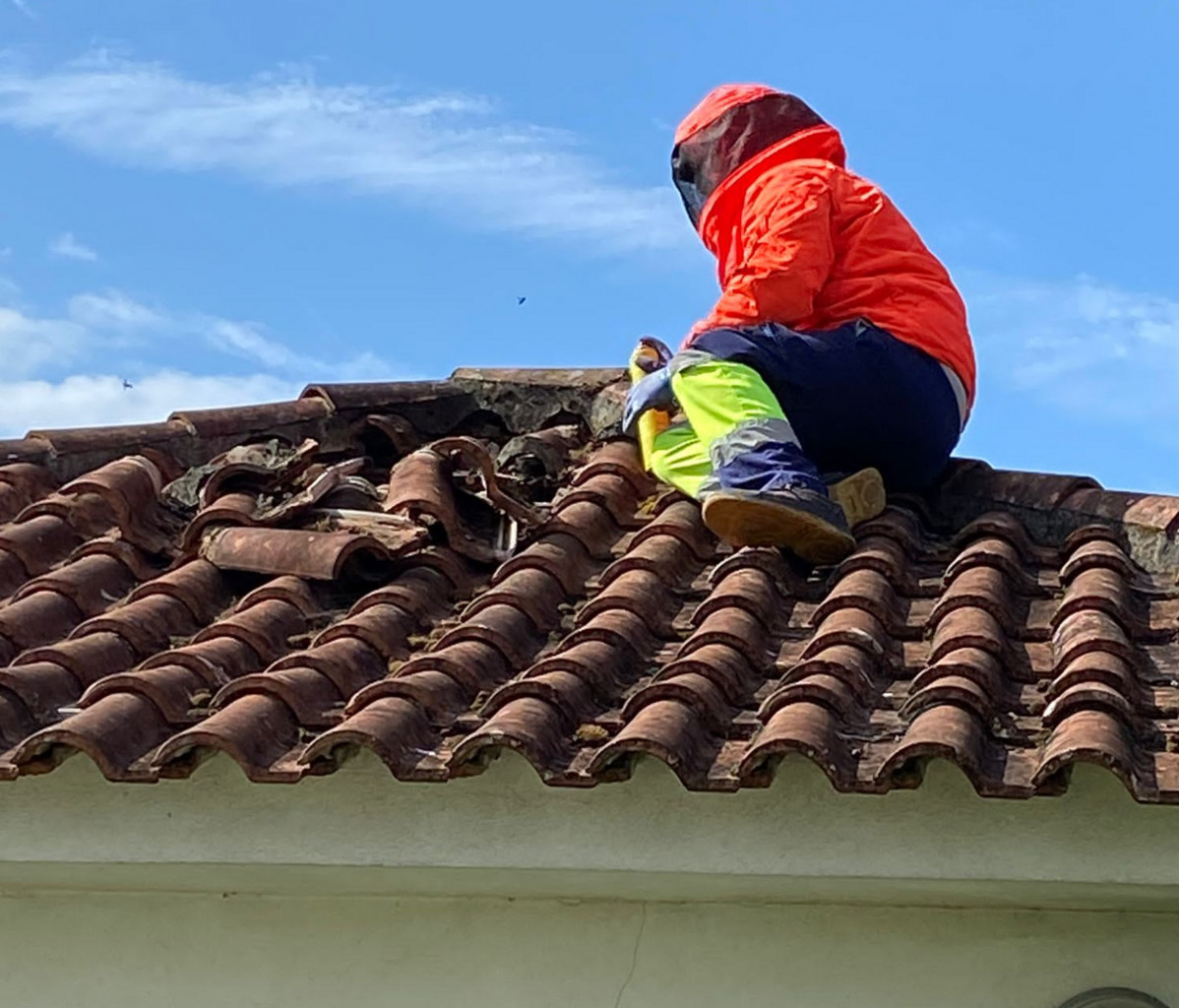 Retirada velutina tejado servicio mancomunidade do salnés