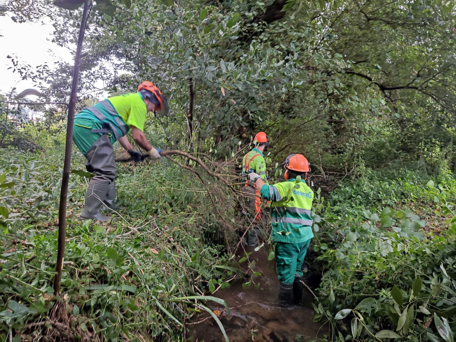 La Xunta lleva a cabo actuaciones de conservación y limpieza en el río Baltar