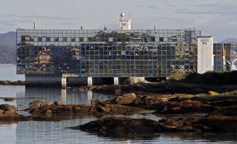 El CIMA de Corón ofrece dos becas de especialización en investigaciones marinas