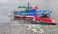 Aparecen cajetillas de tabaco flotando en el puerto de Pontecesures