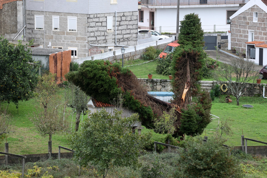 El tren de borrascas destroza tejados y fachadas y arranca árboles en Vilagarcía