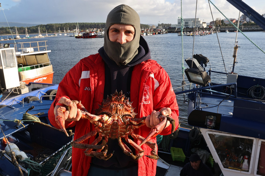 El rey de los mariscos regresa a la lonja y alcanza los 25 euros en la primera subasta de la temporada