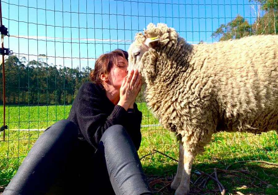 Subasta solidaria en favor de Acougo, el refugio para animales de granja maltratados o abandonados