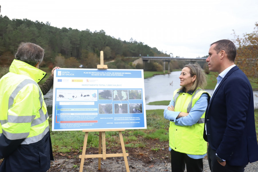 La Xunta plantará 7.000 árboles en los márgenes de los ríos Umia y Gallo para reducir el riesgo de inundaciones