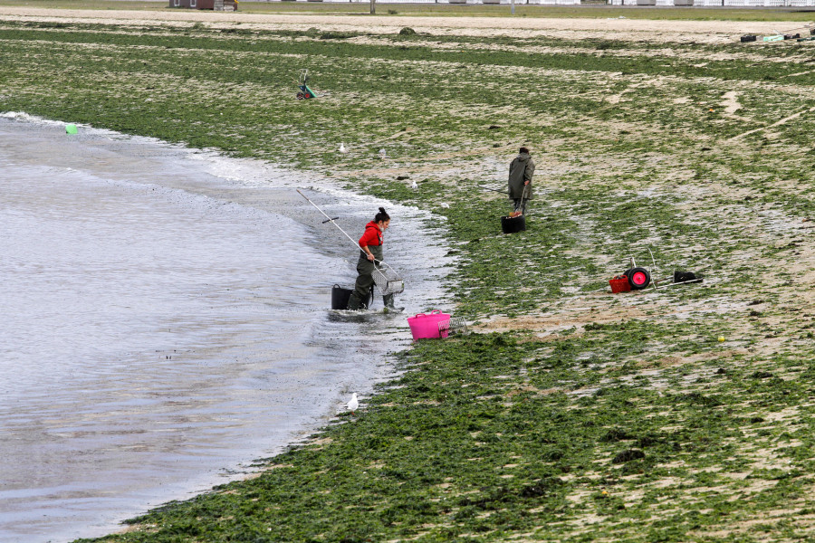 Mulleres Salgas organiza un curso sobre la cogestión adaptativa de los recursos marinos