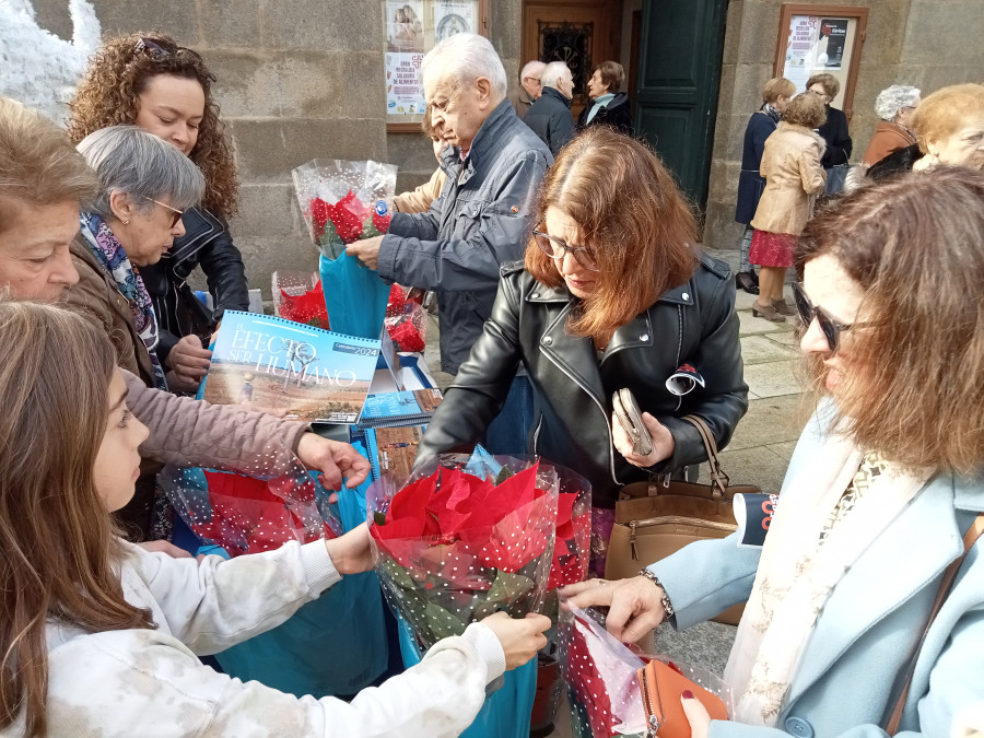 Las flores de Pascua que vende Manos Unidas Ribeira para financiar proyectos en el Tercer Mundo tienen gran demanda