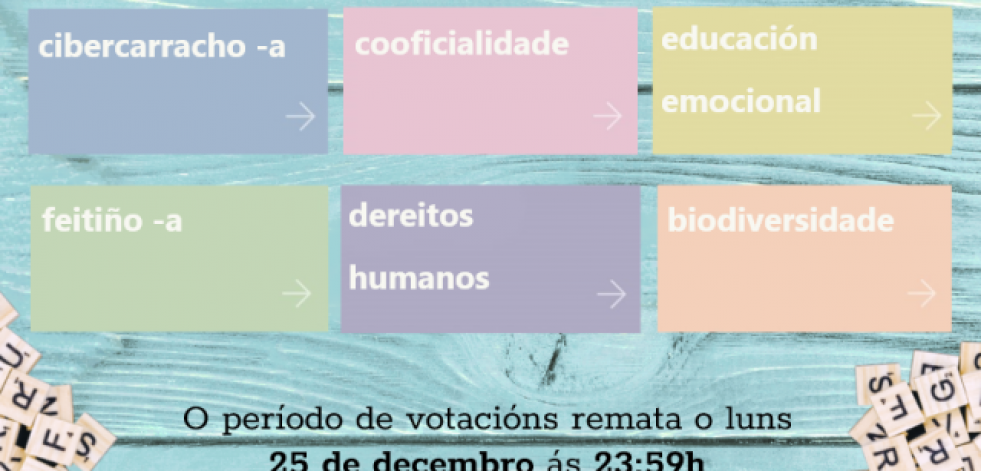 Estas son as seis candidatas a Palabra do Ano: De cibercarracho a feitiño