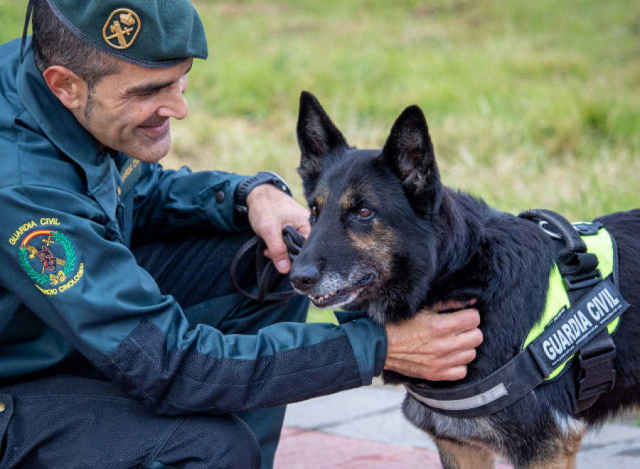 Dora se jubila tras 10 años 'pillando' droga para la Guardia Civil