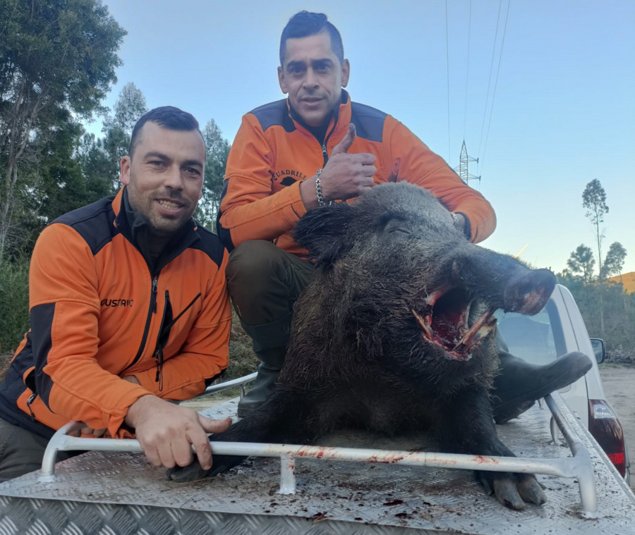 Karsita caza un inmenso jabalí de 150 kilos: “Es un monstruo, en mi vida vi uno tan grande”