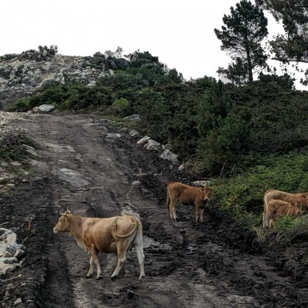 Un terremoto con epicentro en Barro se deja notar en parte de O Salnés y Ulla-Umia