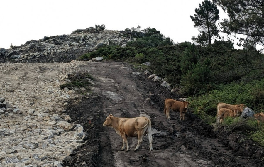 El caso del Monte Acibal conciencia a Pontevedra sobre la situación de los parques eólicos en Galicia