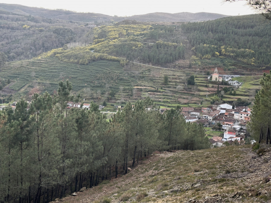 Bodegas Martín Códax ejecutará un nuevo proyecto en la aldea modelo de Infesta