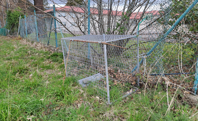 Preocupación e incertidumbre por la presencia de una jaula trampa en la zona de Espiñeira, en Boiro