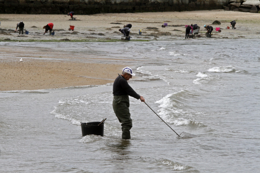 Vilagarcía plantea un proyecto de promoción de sus productos del mar y recuperar la Ruta das Tapas en los bares